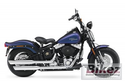2010 Harley-Davidson FLSTSB Softail Cross Bones photo